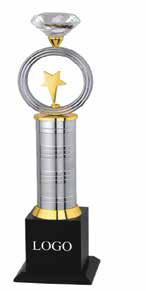 Metal Trophy